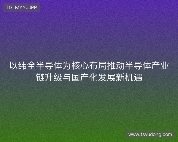 以纬全半导体为核心布局推动半导体产业链升级与国产化发展新机遇
